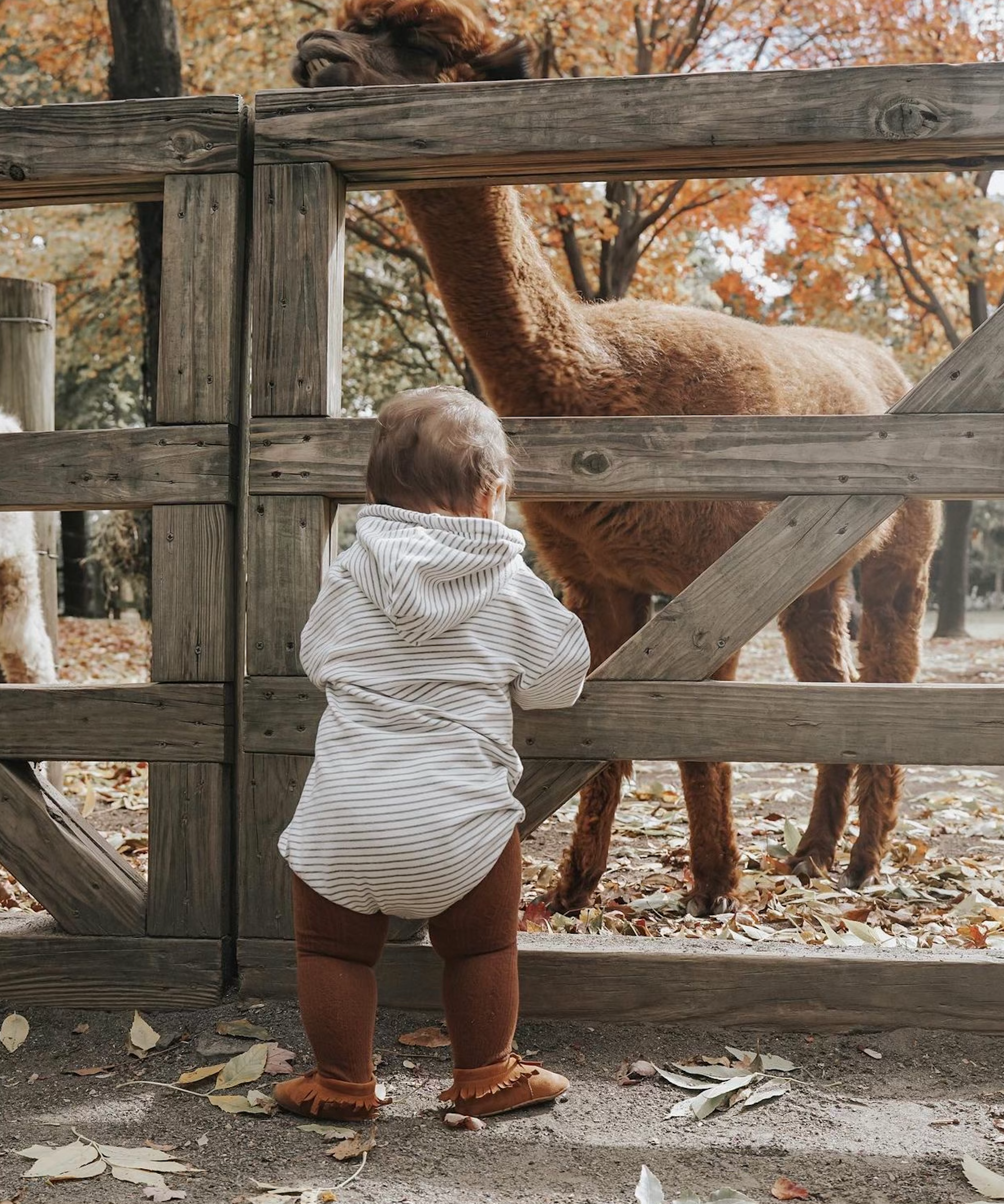 Striped Hooded Romper