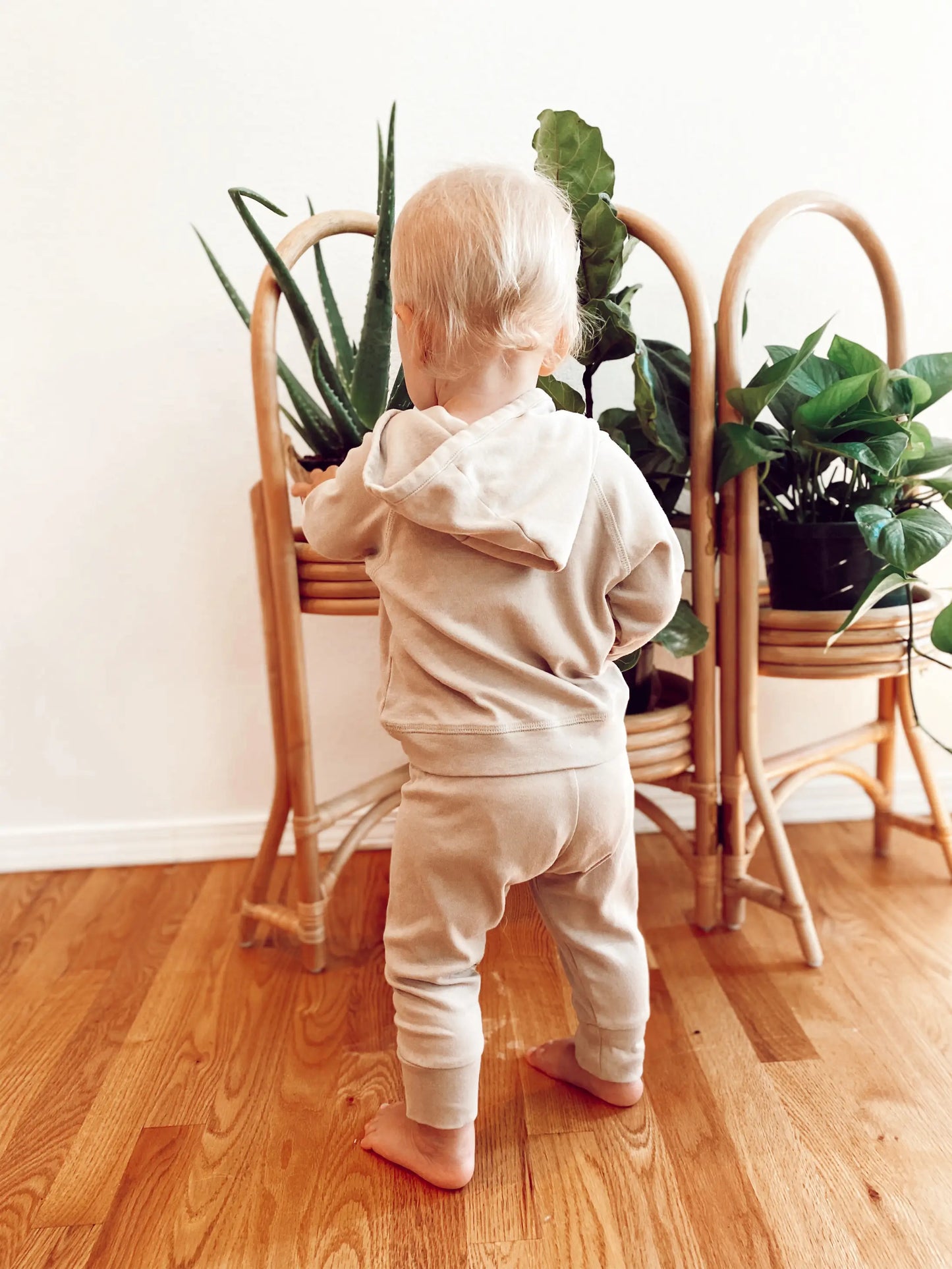 Organic Cotton Hoodie